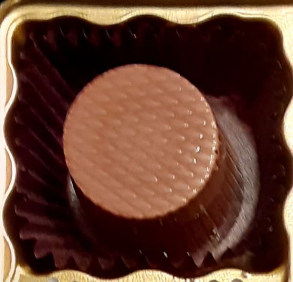 Coyote Caramel