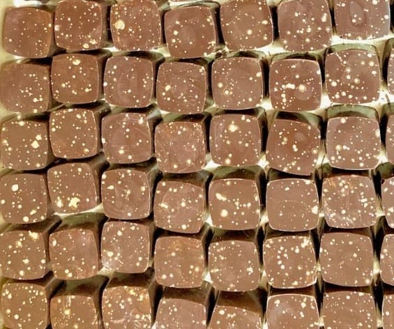 Cozy Cactus Chocolates slide 13